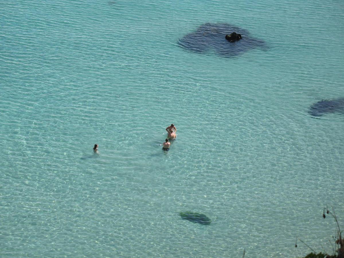 Le Dixmude, Appartement Proche Plage De Morgat クロゾン エクステリア 写真